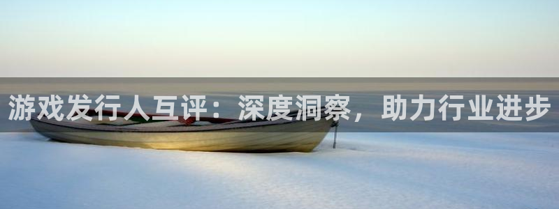 天辰注册会员怎么取消：游戏发行人互评：深度洞察，助力行业进步