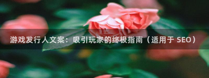 天辰平台害7O777：游戏发行人文案：吸引玩家的终极指南（适用于 SEO）