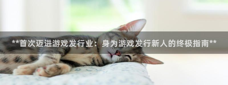 天辰平台划7O777：**首次迈进游戏发行业：身为游戏发行新人的终极指南**