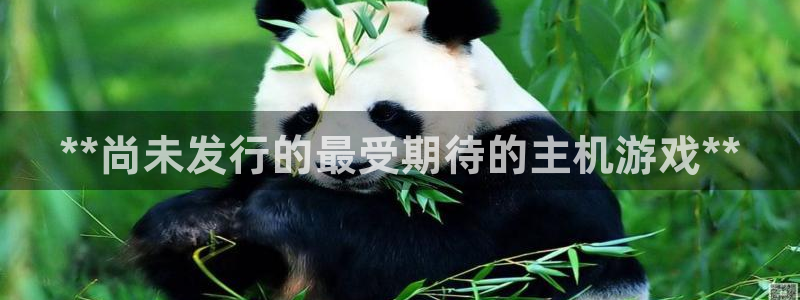 天辰平台用户注册网址：**尚未发行的最受期待的主机游戏**