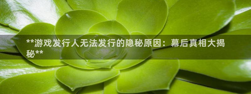 天辰平台怎么样赚钱的：**游戏发行人无法发行的隐秘原因：幕后真相大揭
秘**