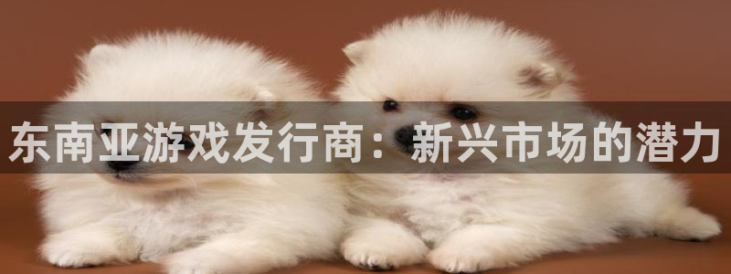 天辰娱乐官网最新公告：东南亚游戏发行商：新兴市场的潜力