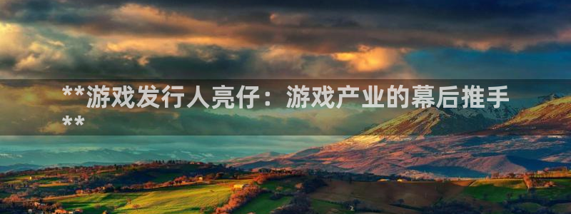 天辰平台用户登录不上怎么办：**游戏发行人亮仔：游戏产业的幕后推手
**