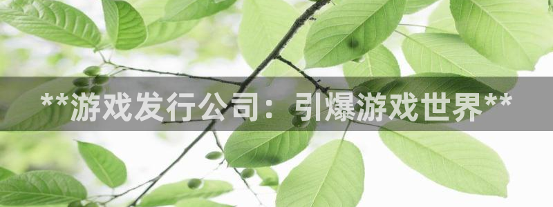 天辰平台价 411O31 平台：**游戏发行公司：引爆游戏世界**
