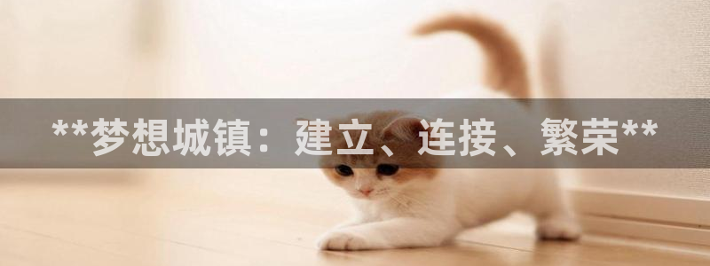天辰平台 -专用通道安全稳定：**梦想城镇：建立、连接、繁荣**