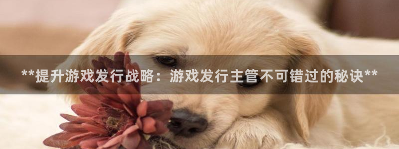 天辰正规注册通道安全：**提升游戏发行战略：游戏发行主管不可错过的秘诀**