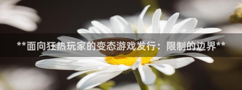 天辰平台护7O777：**面向狂热玩家的变态游戏发行：限制的边界**