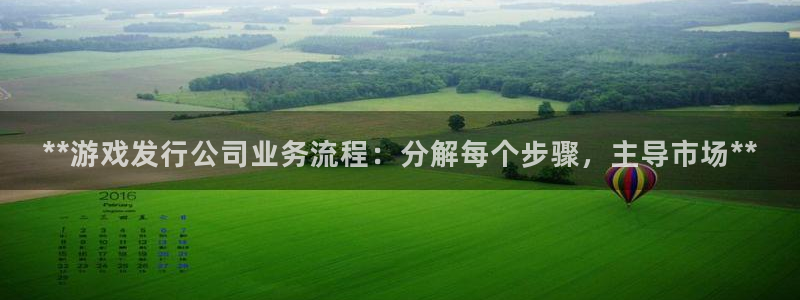 天辰平台怎么样赚钱快：**游戏发行公司业务流程：分解每个步骤，主导市场**