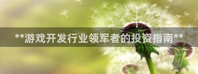 天辰娱乐的老板是谁呀