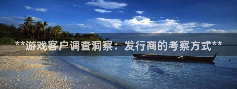 天辰平台招 411O31 平台：**游戏客户调查洞察：发行商的考察方式**