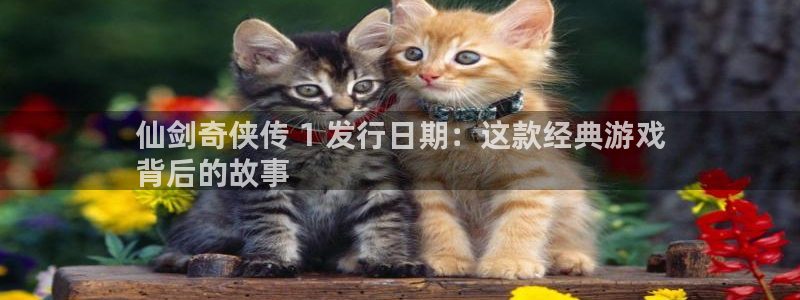 天辰平台城7O777：仙剑奇侠传 1 发行日期：这款经典游戏
背后的故事