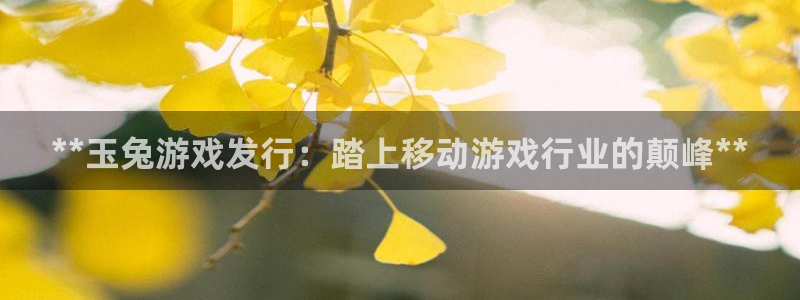 天辰平台怎么样赚钱的：**玉兔游戏发行：踏上移动游戏行业的颠峰**