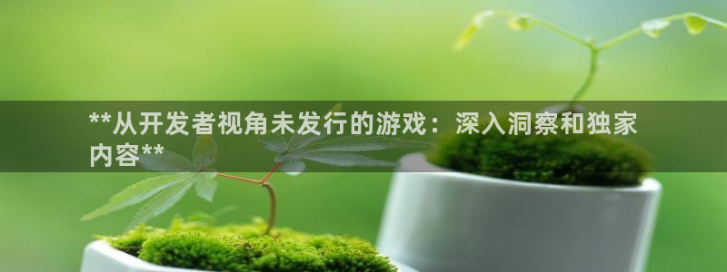 天辰平台示7O777：**从开发者视角未发行的游戏：深入洞察和独家
内容**