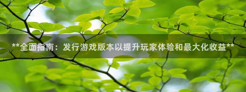 天辰平台招商1111怎么样啊：**全面指南：发行游戏版本以提升玩家体验和最大化收益**