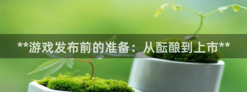 天辰平台给下级分红怎么派发的：**游戏发布前的准备：从酝酿到上市**