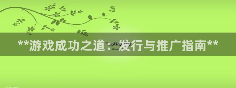 天辰平台 注册你的专属平台入口是什么：**游戏成功之道：发行与推广指南**