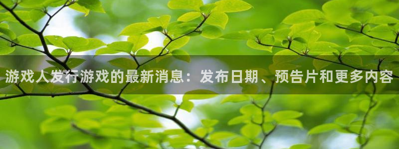 天辰平台挂机：游戏人发行游戏的最新消息：发布日期、预告片和更多内容