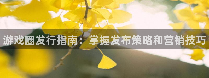 天辰平台江7O777：游戏圈发行指南：掌握发布策略和营销技巧