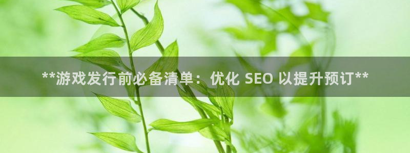 天辰平台用户登录失败怎么回事：**游戏发行前必备清单：优化 SEO 以提升预订**