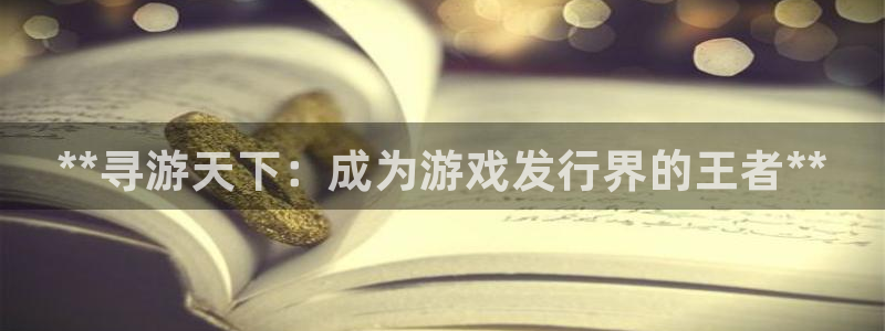 天辰平台会员登录失败：**寻游天下：成为游戏发行界的王者**