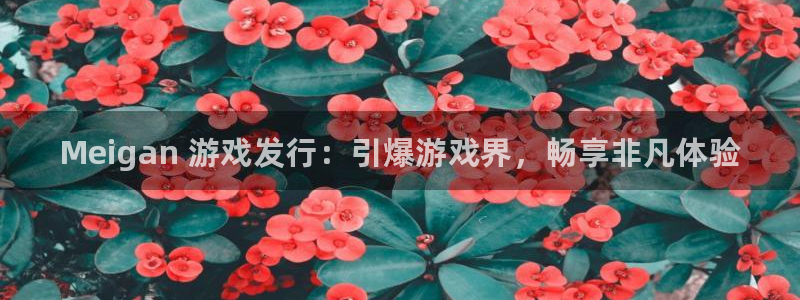 天辰网站：Meigan 游戏发行：引爆游戏界，畅享非凡体验