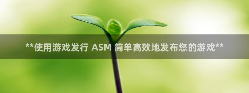 天辰平台注册登录地址怎么改：**使用游戏发行 ASM 简单高效地发布您的游戏**