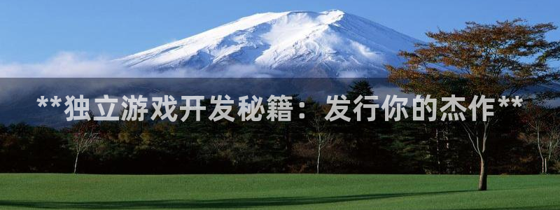 天辰平台登录注册账号：**独立游戏开发秘籍：发行你的杰作**