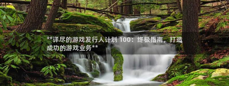 天辰平台登录注册失败：**详尽的游戏发行人计划 100：终极指南，打造
成功的游戏业务**