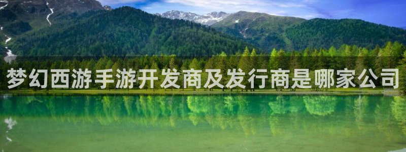 天辰测速在线登录网址：梦幻西游手游开发商及发行商是哪家公司