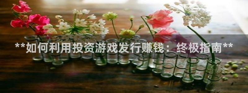 天辰平台链接：**如何利用投资游戏发行赚钱：终极指南**