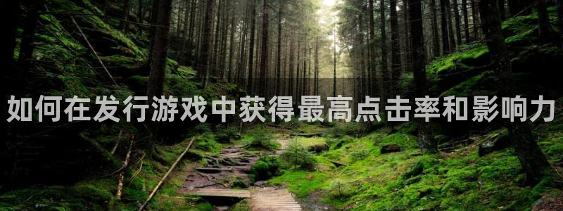 天辰会员开户多少钱：如何在发行游戏中获得最高点击率和影响力