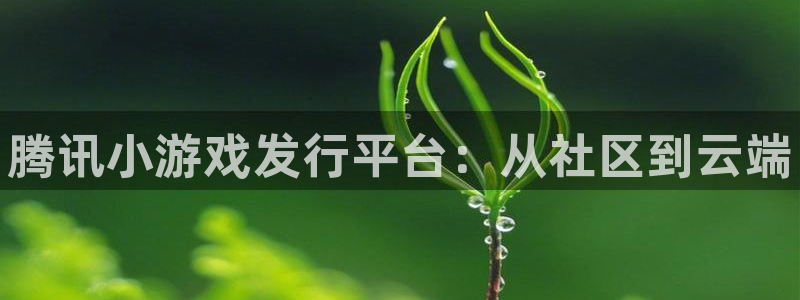 天辰注册平台：腾讯小游戏发行平台：从社区到云端