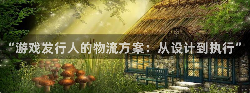 天辰平台注册你的专属平台入口：“游戏发行人的物流方案：从设计到执行”