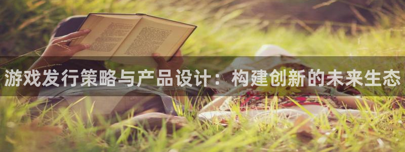 天辰平台花7O777：游戏发行策略与产品设计：构建创新的未来生态