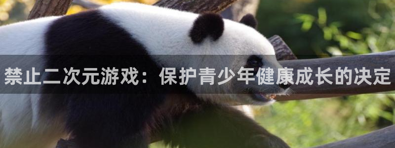 天辰娱乐厅破解规律透视辅助：禁止二次元游戏：保护青少年健康成长的决定