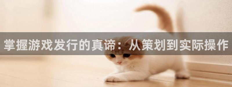 天辰平台网址是什么